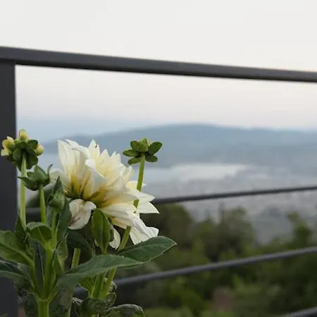 Silia's Secret Place Σπίτι διακοπών Βόλος